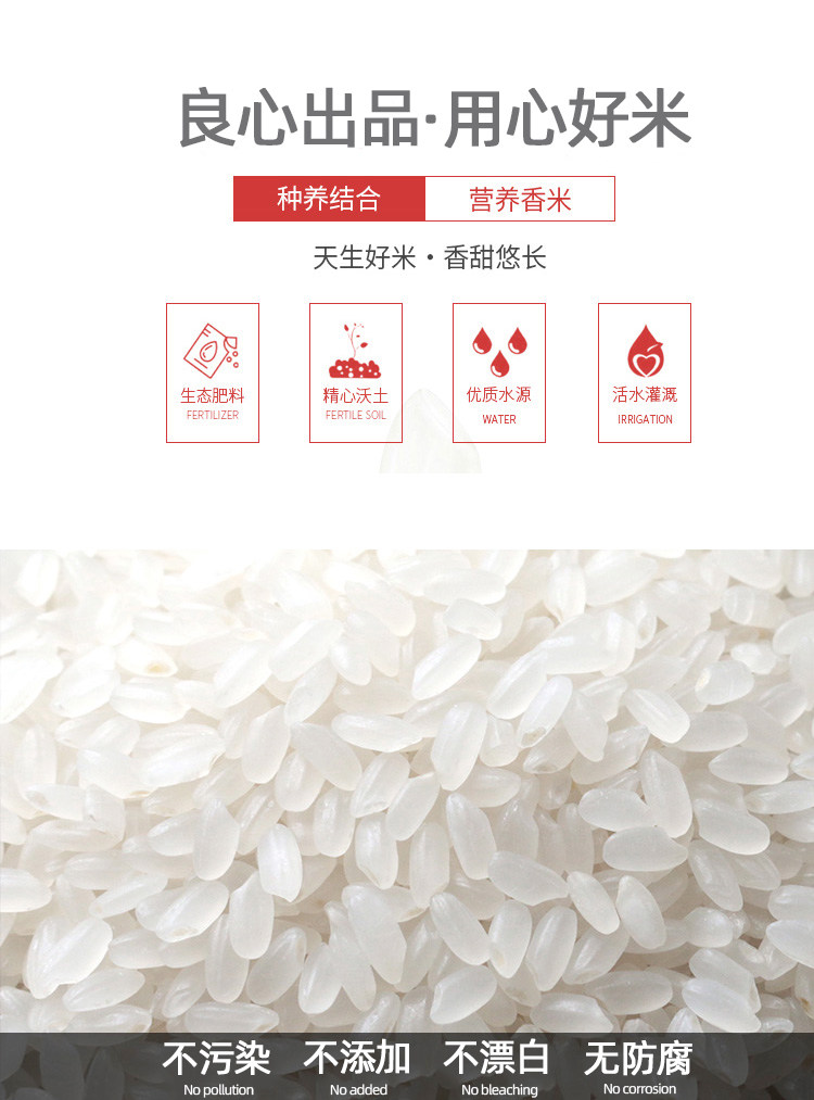 安享好物 安享A级粳米-谷味来长粒香米 国标 