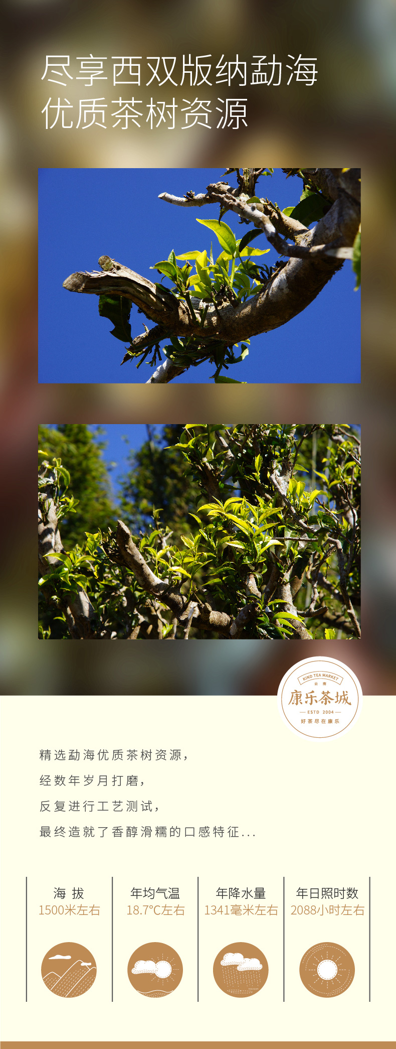 康乐茶城 茶化石 云南勐海普洱茶熟茶 250g/袋 图5