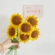 Small Sunflower 6 светло -ролевой 8 нефинансированных продуктов Отправить учебное видео видео