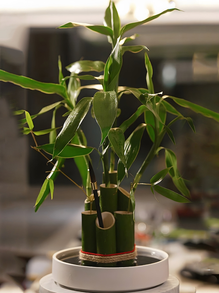 Bamboo Pipe Vase Ornaments Green Bamboo Flower Art Bamboo Joint Kindergarten Environment Creation Wedding Celebration Decoration Layout Bamboo Pipe Flower Ware