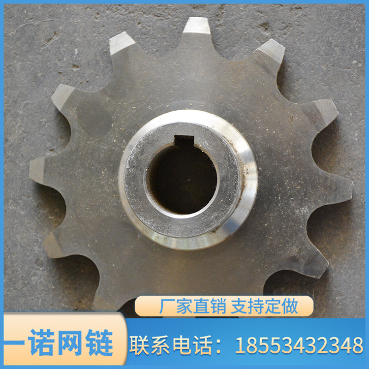 Non-Peuding to do 304 single double row stainless steel sprockets Double pitch wear resistant conveyor line Industrial gear