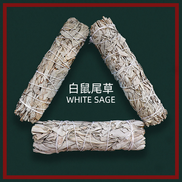 American Natural White Rat Tail Grass Bauma Shells Purifying for Loaded Bulk