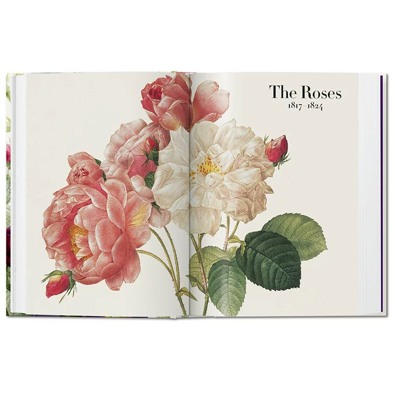 «Spot Taschen Tasan Genuine Redouté. Книга цветов 40-я годовщина Read Flower Books»