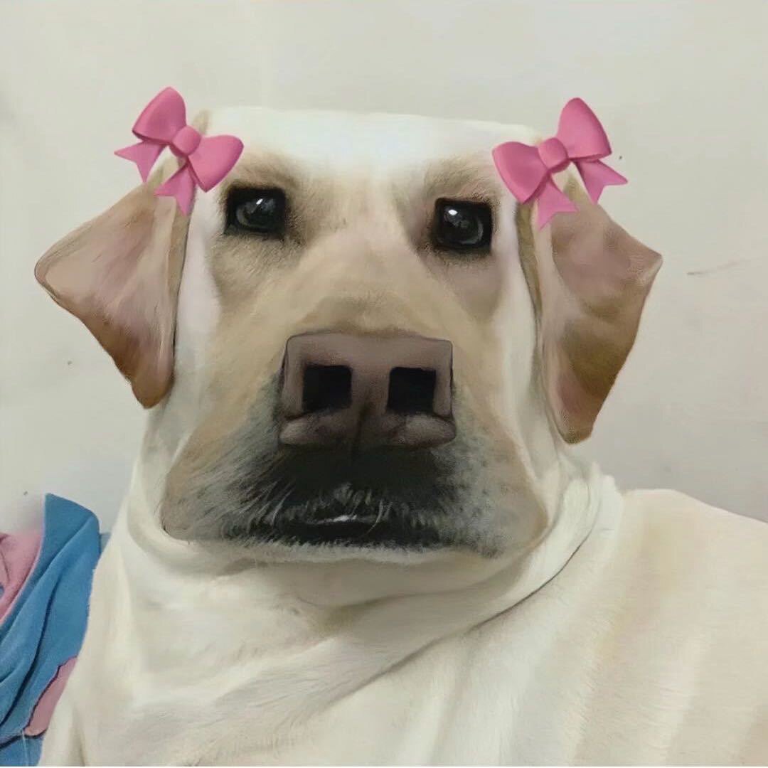 柒柒家居优选