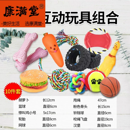 Пехой собаки повседневная жизнь поставляет шлифовальные стержни и кусочки игрушек