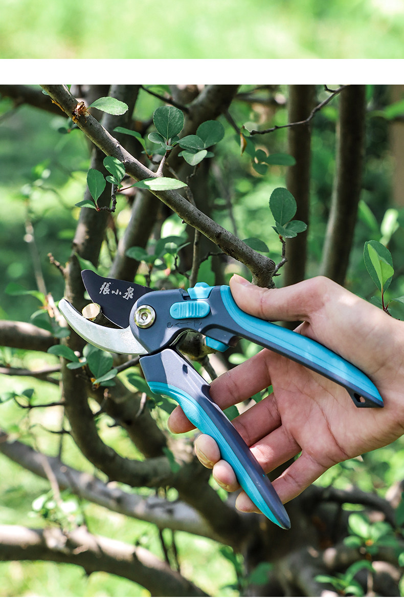 Chunyue · Запустить серии многофункциональных ветвей, вырезанные 215mm_12.jpg