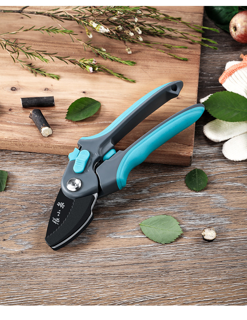 Multi -function 210_10.jpg