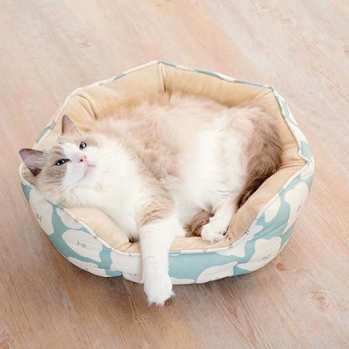 Кот мир северный кот цветок цветок кошачий кошка кровать кота кошачья подушка зима теплое кошка Запад