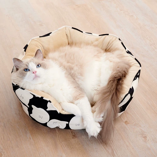 Кот мир северный кот цветок цветок кошачий кошка кровать кота кошачья подушка зима теплое кошка Запад