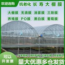 Greenhouse film black and white film film plastic film agricultural film No drip film cultured reflective film grass stock fish pond impermeable