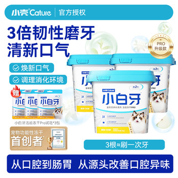 Small shell white teeth freeze-dried pro teeth cleaning stick cat grass stick