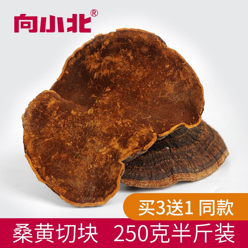 To the small north mulberry yellow block Sanhuang bacteria Cut block 250g Non-Tibetan wild mulberry tree Sanhuang Lingzhi Buy 3 and send 1