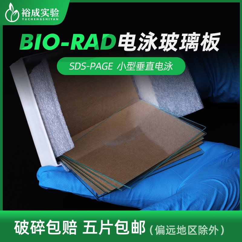 伯乐Bio-Rad WesternBlot电泳玻璃板垂直电泳短厚玻璃板 长玻璃板