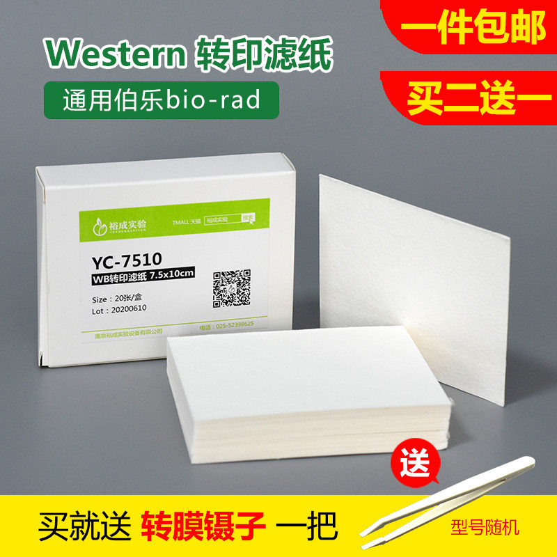 Western blot 转印滤纸转膜滤纸 7.5*10 15*15cm20片/包通用伯乐