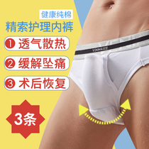 Bullet Type Separated Underwear Men Up Xinjiang Cotton Spermatic Vein Testicular Tricolor Sclen Bag breifs Tide