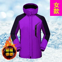 A06 (добавить бархат) женский фиолетовый фиолетовый