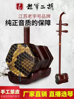 Zhao Jun Xiaoye red sandalwood erhu factory direct beginner musical instrument adult professional performance high-grade famous brand Hu Qin