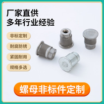 Manufacturer cold heading processing 304 stainless steel T-shaped hollow flat head rivets step rivets shelf rivets