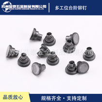 Multi-station step rivets cold pier one-time forming step rivets semi-hollow step rivets for shelves