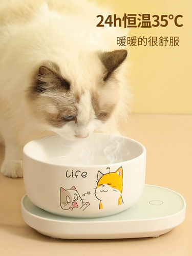 Кошка постоянная температура напиток вода вода вода миска для животных йогурт -кошка консервированная кошачья чаша керамический напиток водонагреватель собаки собаки