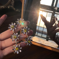 Treasure earrings 2021 New Tide earrings female earrings silver needle long flower tassel crystal earrings