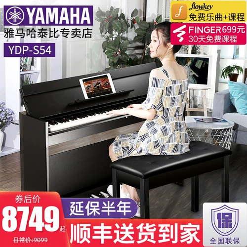 Yamaha Electric Piano YDP-S55 Домохозяйство Вертикальная Профессиональная Цифровая цифровая 88 Ключ Хэмльс Электрический Сталь YDP-S52 Обновление