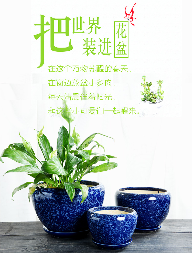 Apple flower pot ceramic clearance large money plant with large tray indoor creative bracketplant tray size flowerpot