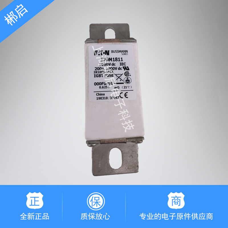 New original dress 170M1811 1831 1809 170M4813 170M2109 quick fuse insurance