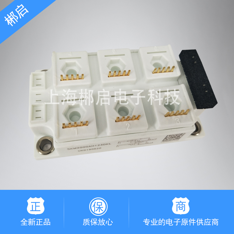 New Spot Power IGBT Module SKM200GAH123DKL Spot Direct Sale Welcome Enquirer