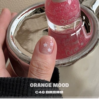 C48 Baotao Taste Taste