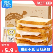 Lactic acid bacteria taste sandwich toast bread whole box Students Nutritious Breakfast Pastry Snack meals Food 1000g