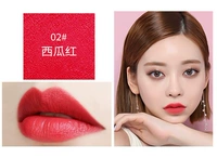 02#warbermelon красный