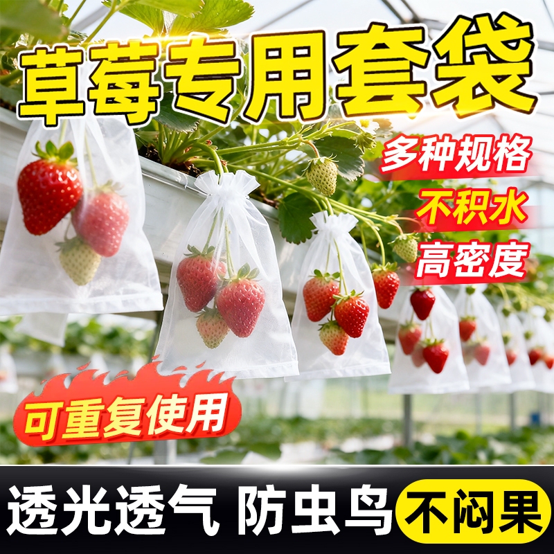 Strawberry Bagging Net, Bird-Proof Cover, Insect-Proof Bag, Fruit-Specific Breathable Insect-Proof Mesh Bag, Fruit Support Net for Grapes and Watermelon Strawberry Bagging Net, Bird-Proof Cover, Insect-Proof Bag, Fruit-Specific Breathable Insect-Proof Mesh Bag, Fruit Support Net for Grapes and Watermelon