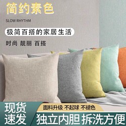 Sofa Pillow Case Bedside Living Room Sofa Pillow Cushion Homestay Decorative Pillow Accessible Luxury Pillow Pillow Sofa Pillow