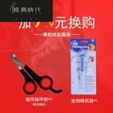 Элизабет кошка кошка, покрывающая кошку, лизающую анти -сат -домашнюю собаку Элизабет Стыд, оскорбительный ошейник Круг