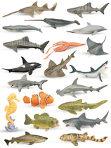 Small marine animal life shark model killer whale simulation animal sea turtle blue whale cognition 6 children 3 years old fish toy