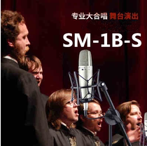 Takstar SM-1B-S Stage chorus condenser microphone Recording K song performance special microphone