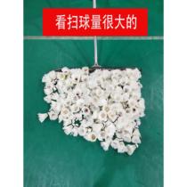 Badminton ball picker ball collector portable ball sweeper bend-free ball picker