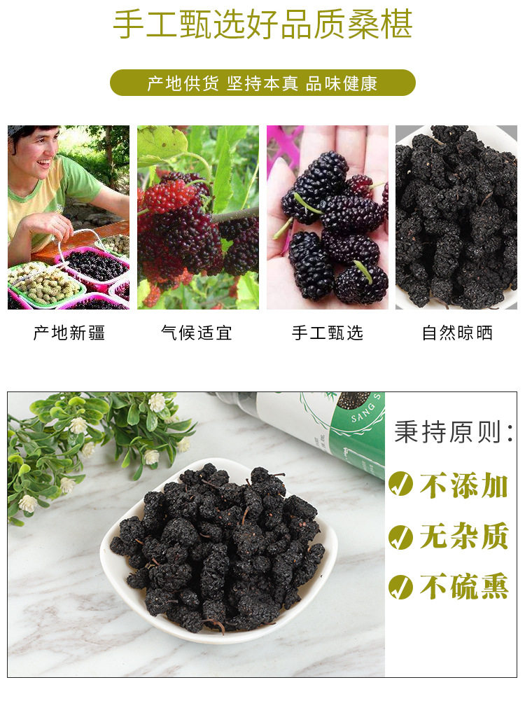 Mulberry_03