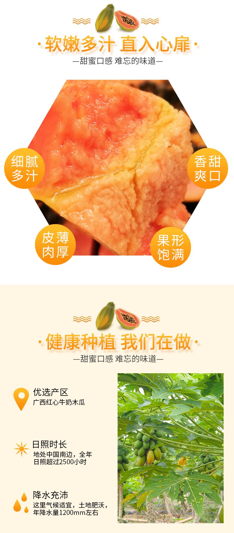 【热卖】西州蜜甜哈密瓜网纹瓜