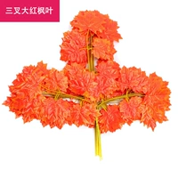 Тригема Большой красный кленовый лист -12