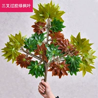Тригер Glores Green Maple Leaf-12 ветви