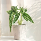 Реалистичное украшение для ногтей, пластиковый цветочный горшок, скандинавский стиль