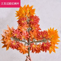 Triger Glipper Red Maple Leaf-12