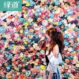 Симуляция цветочной стены Фоны изображения стена сетка красная фальшивая розовая растение декоративная ткань сцена интерьера