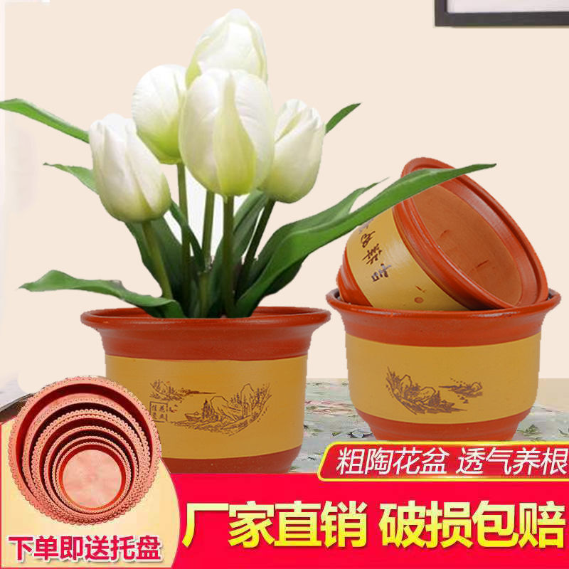 Purple red some ceramic sitting room ground soil bonsai pot Chinese fir orchid flower pot flowers/green plant ceramics