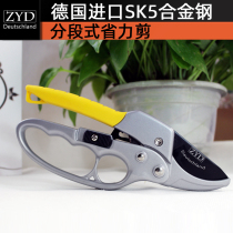 Labor-saving pruning shears rough shears multi-section German imported fruit trees garden flowers strong branches and flowers