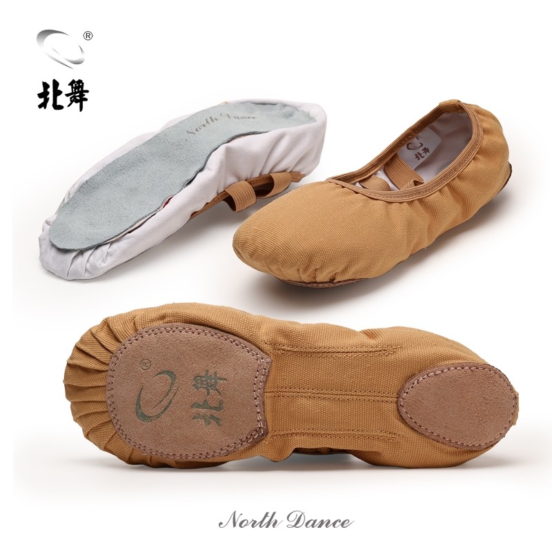North Dance Shoes Women Soft Bottoms Practice Shoes Adults Cat Paw Shoes Canvas Body Shoes China Children Ballet Shoes