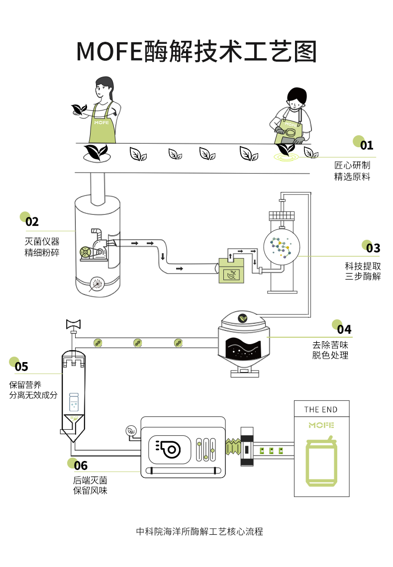 蒲公英粉茶叶清熬夜养生茶*16包