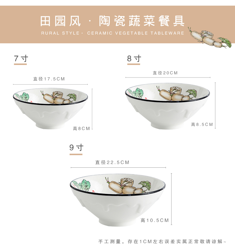 Japanese ceramics big home to eat noodles noodles in soup bowl pull rainbow such use large mercifully rainbow such use salad hat to use a single tableware